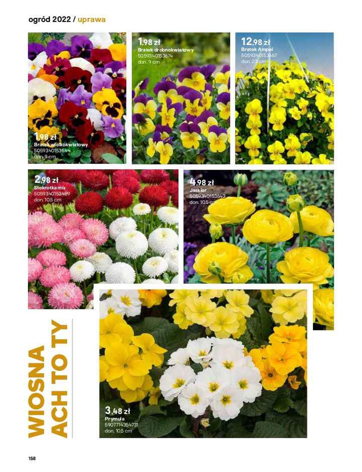 Gazetka promocyjna Castorama str. 156