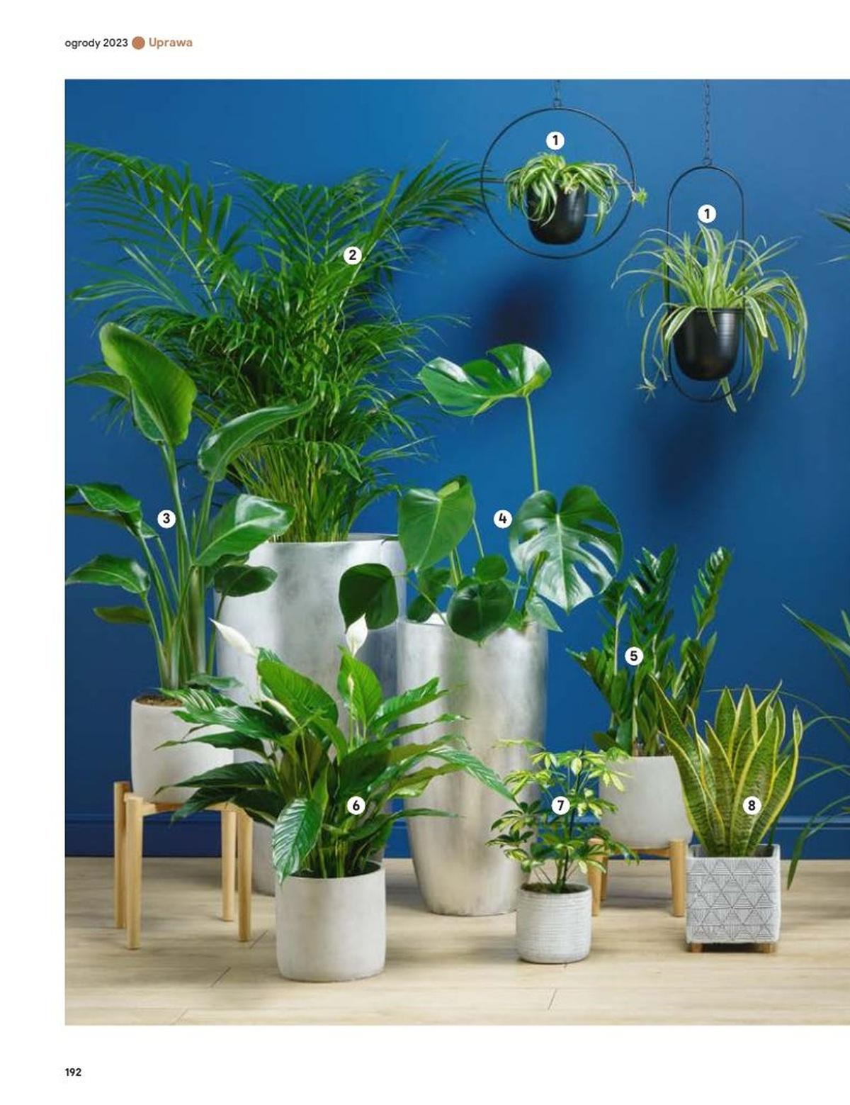 Gazetka promocyjna Castorama str. 192