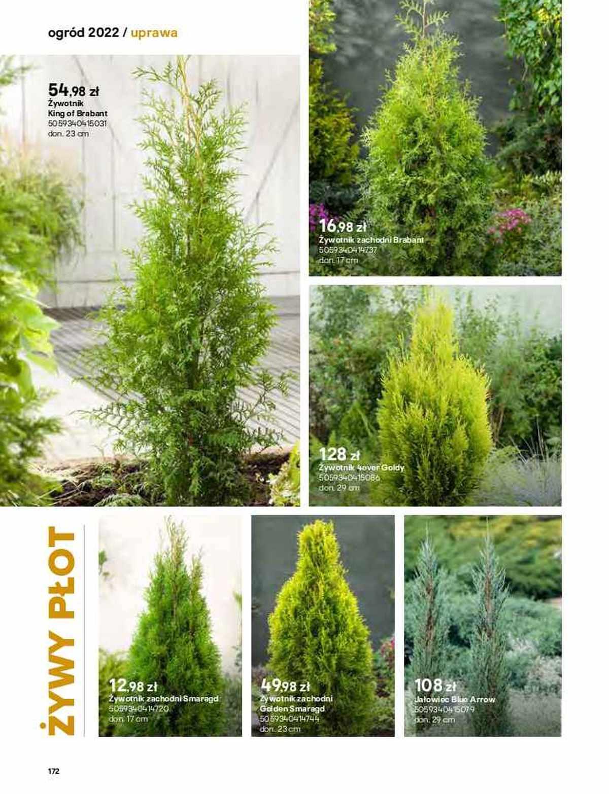 Gazetka promocyjna Castorama str. 170