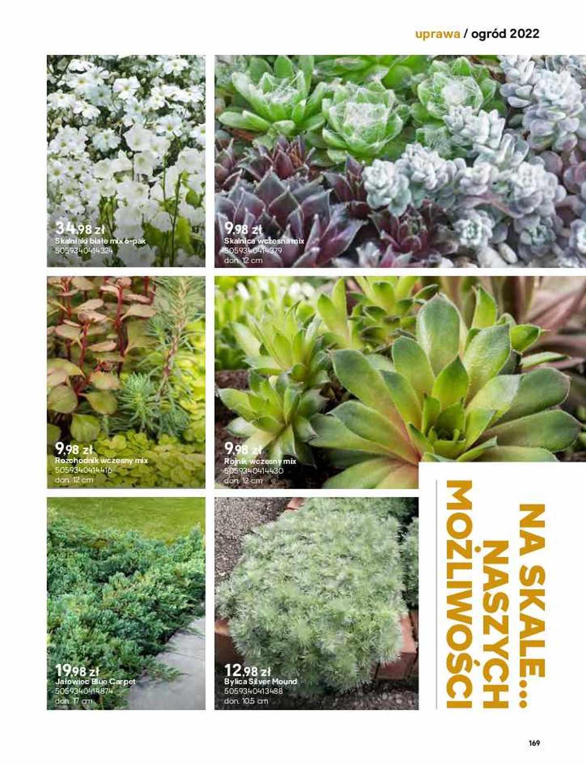 Gazetka promocyjna Castorama str. 169