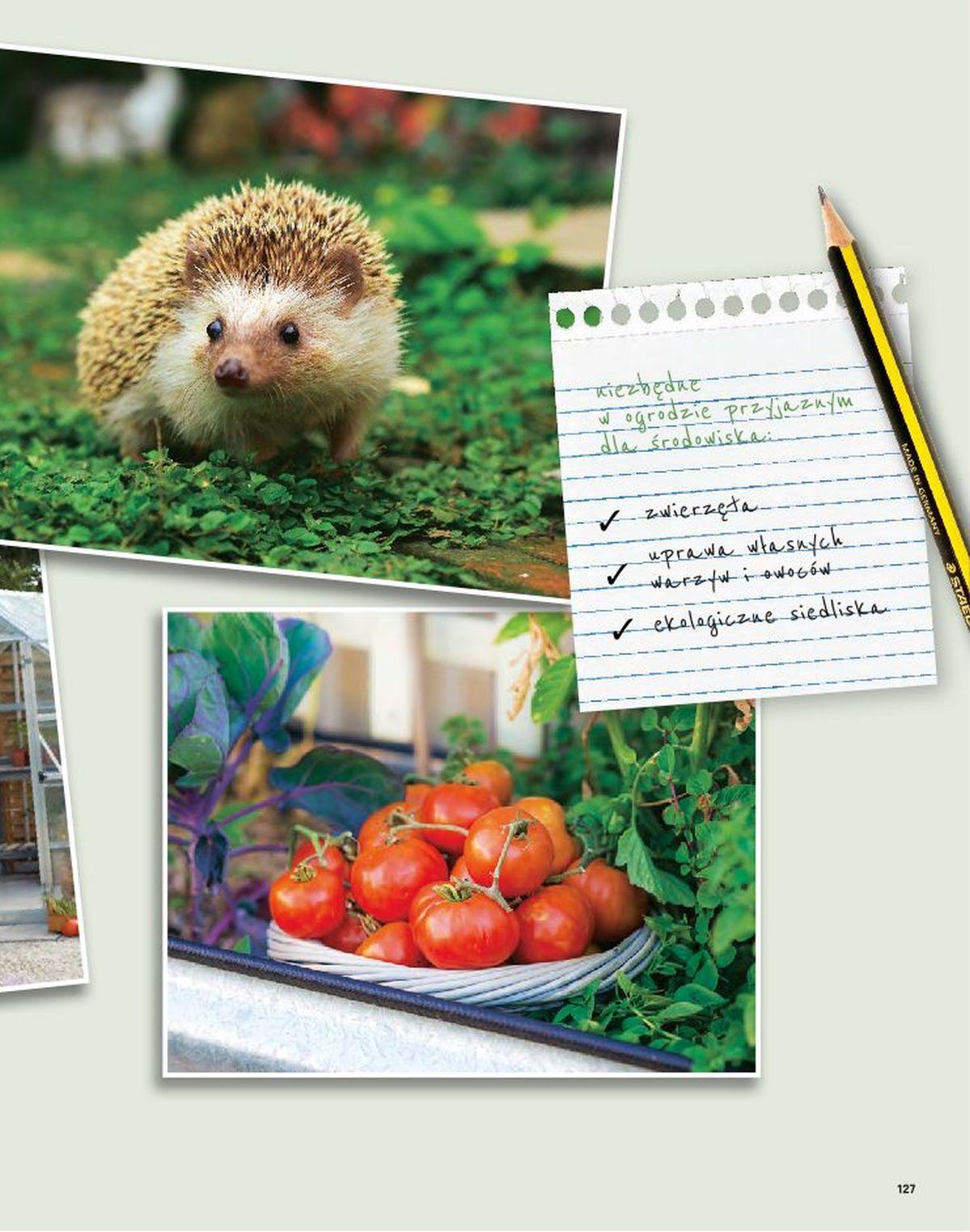 Gazetka promocyjna Castorama str. 127