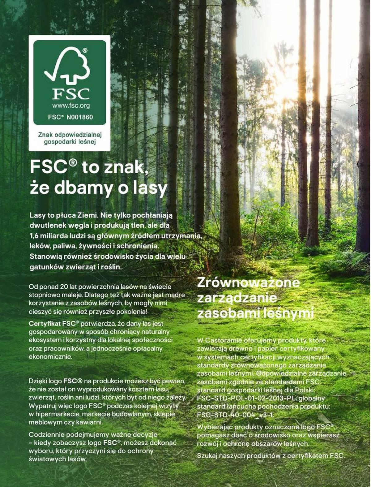 Gazetka promocyjna Castorama str. 4