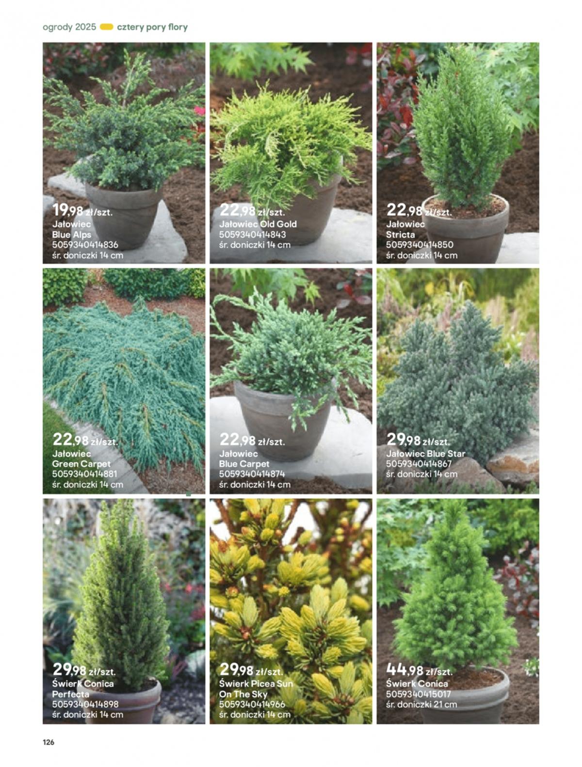 Gazetka promocyjna Castorama str. 126