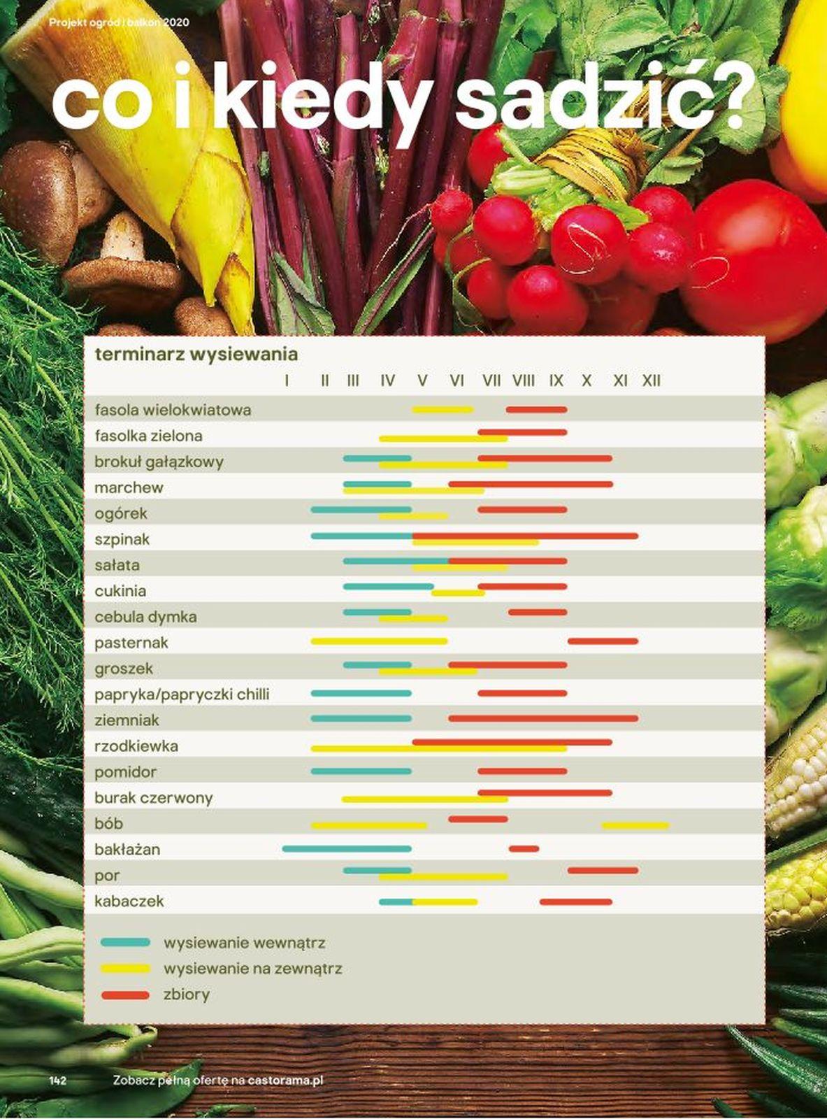 Gazetka promocyjna Castorama str. 142