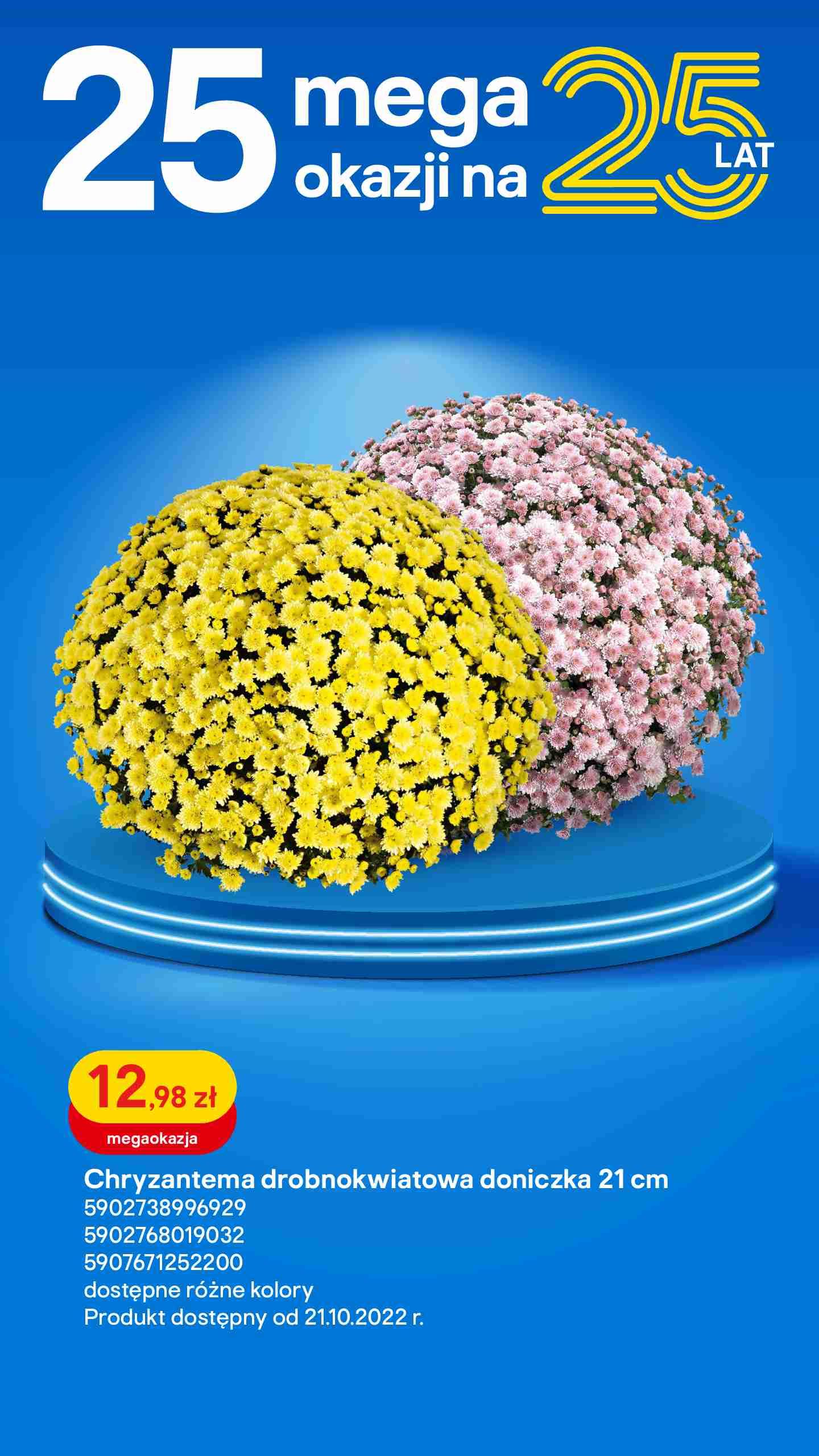 Gazetka promocyjna Castorama str. 14