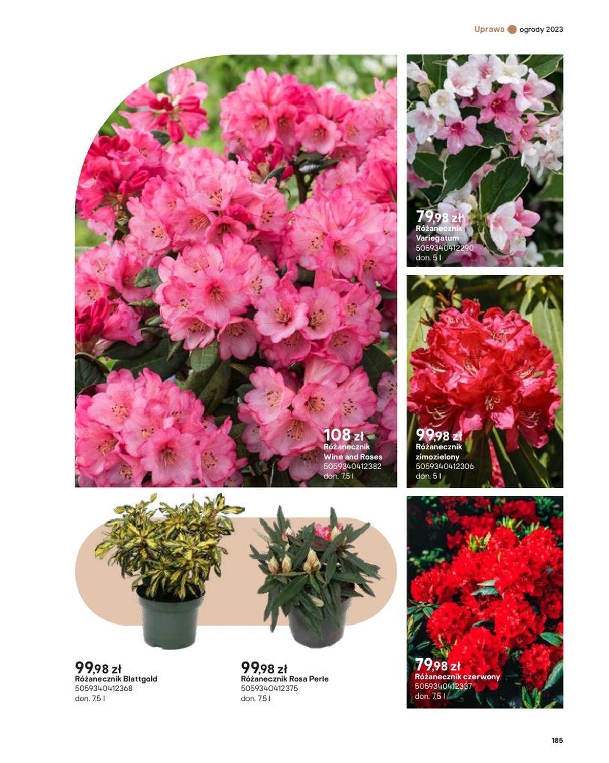 Gazetka promocyjna Castorama str. 185