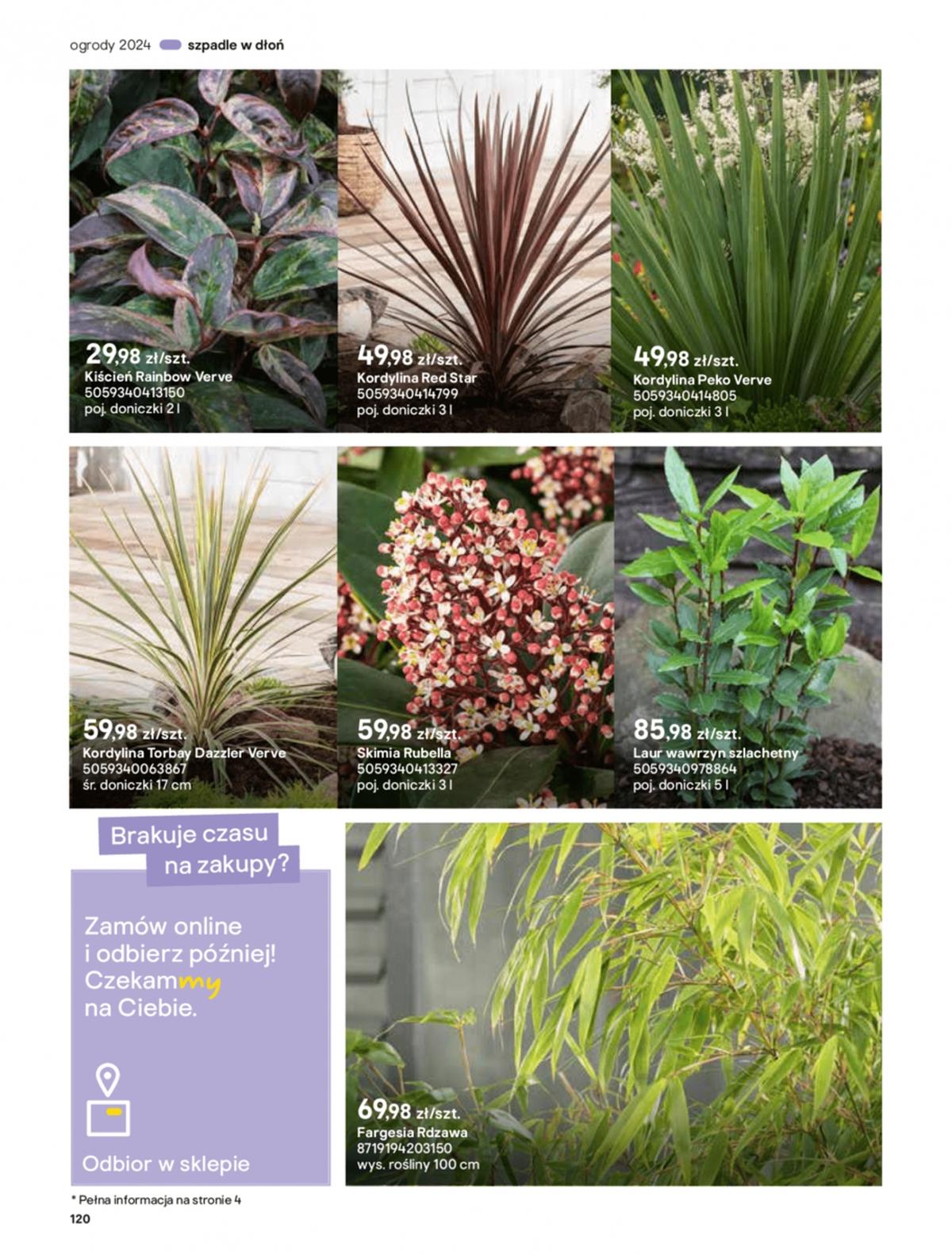 Gazetka promocyjna Castorama str. 120