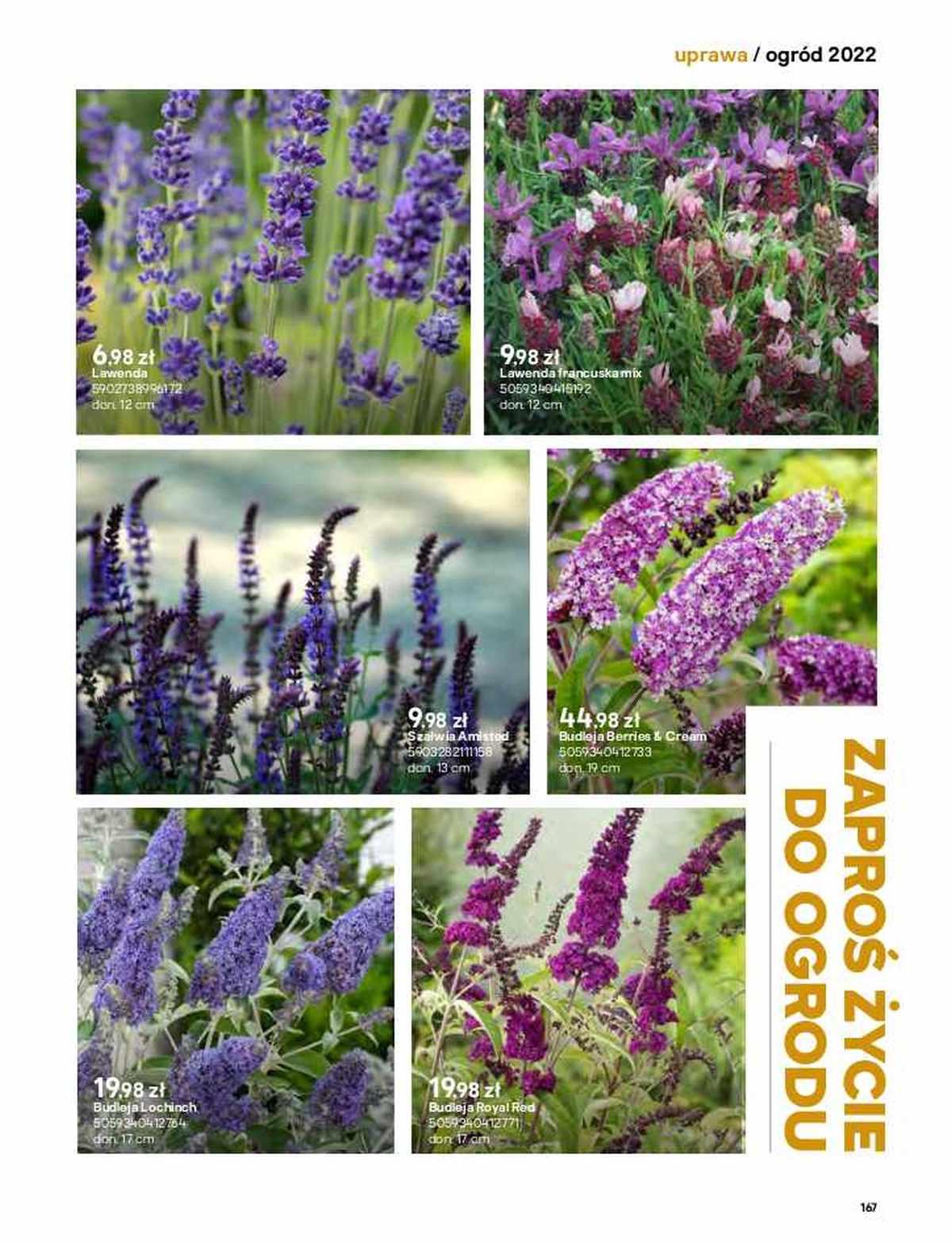 Gazetka promocyjna Castorama str. 167