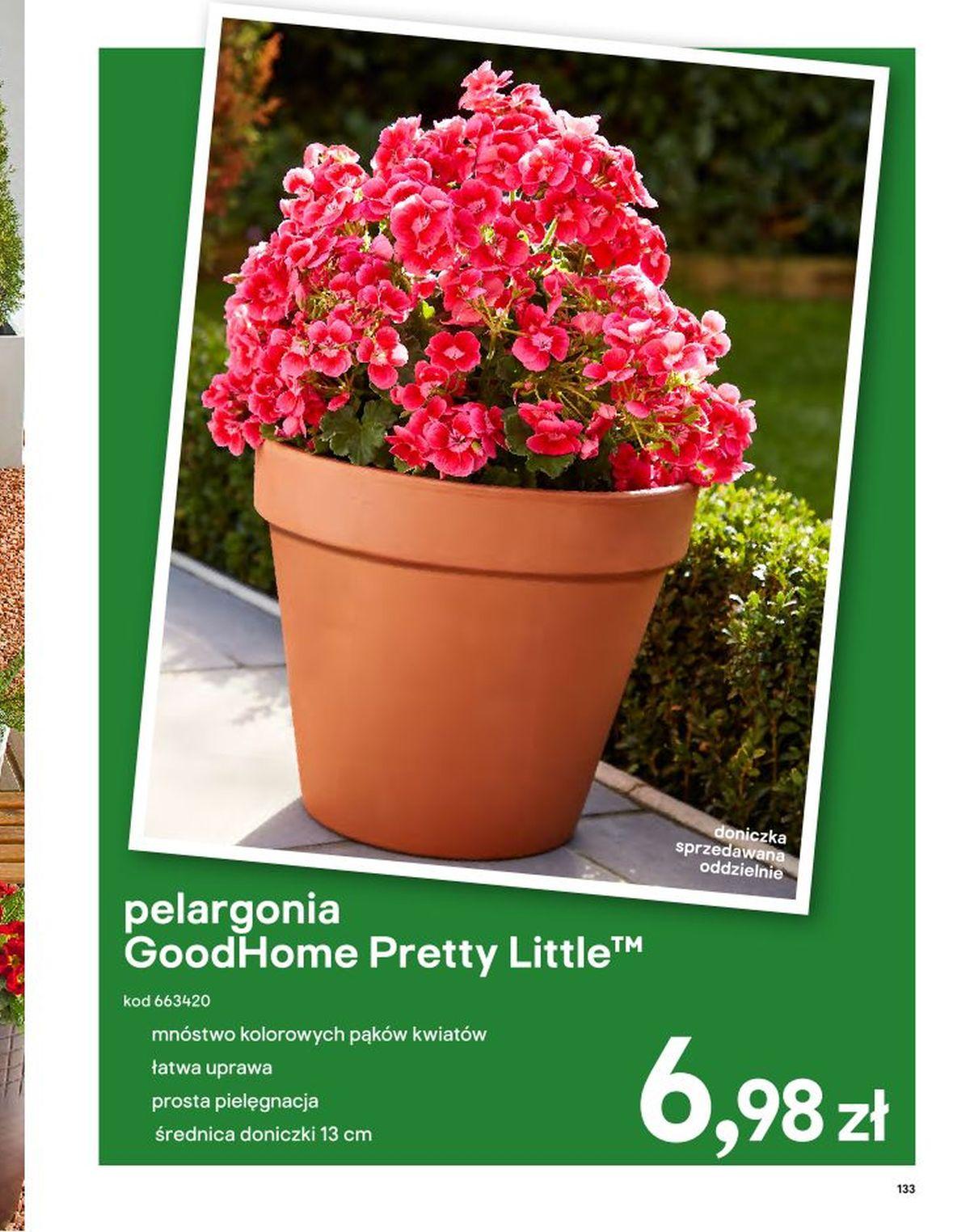 Gazetka promocyjna Castorama str. 133