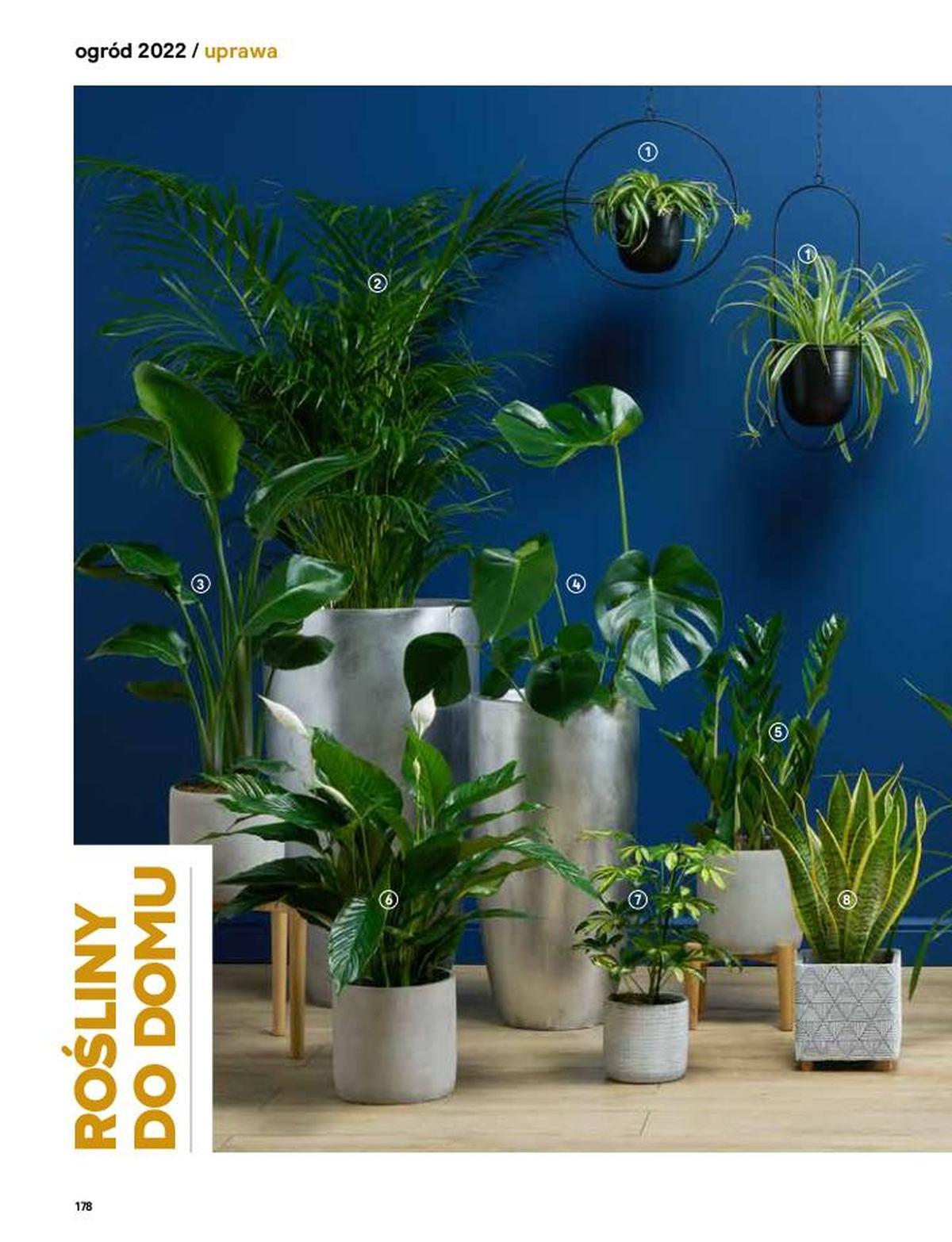 Gazetka promocyjna Castorama str. 176