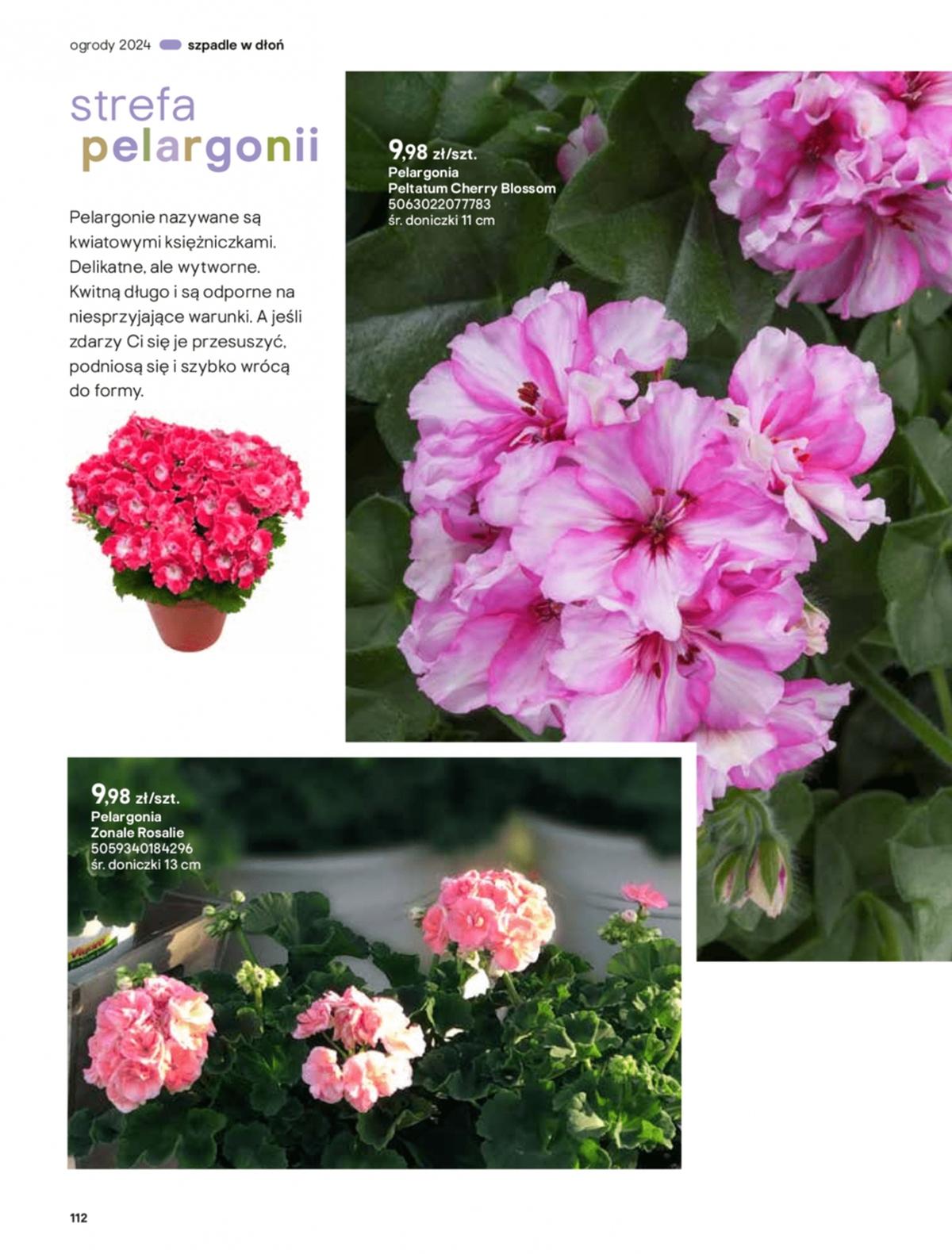 Gazetka promocyjna Castorama str. 112