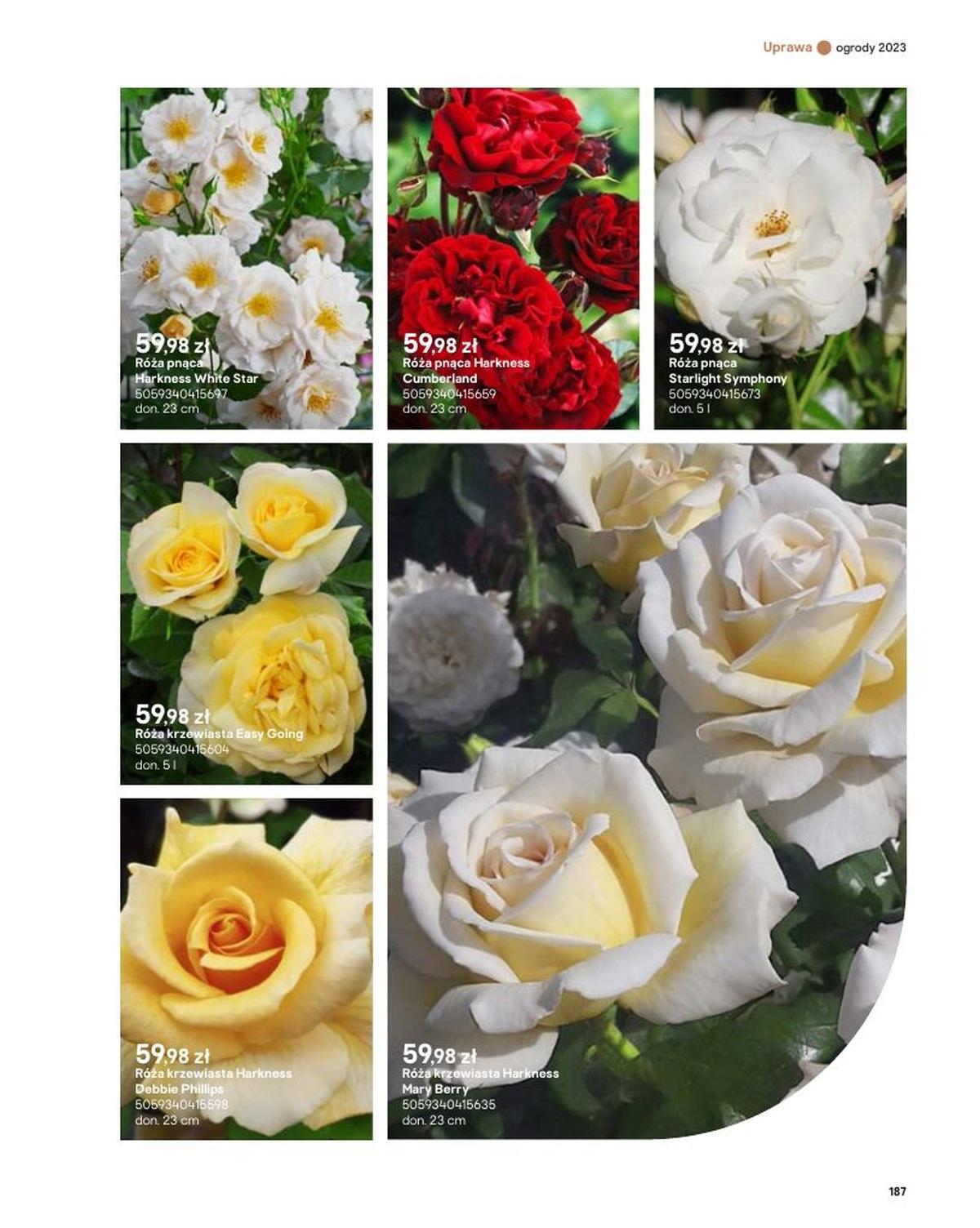 Gazetka promocyjna Castorama str. 187