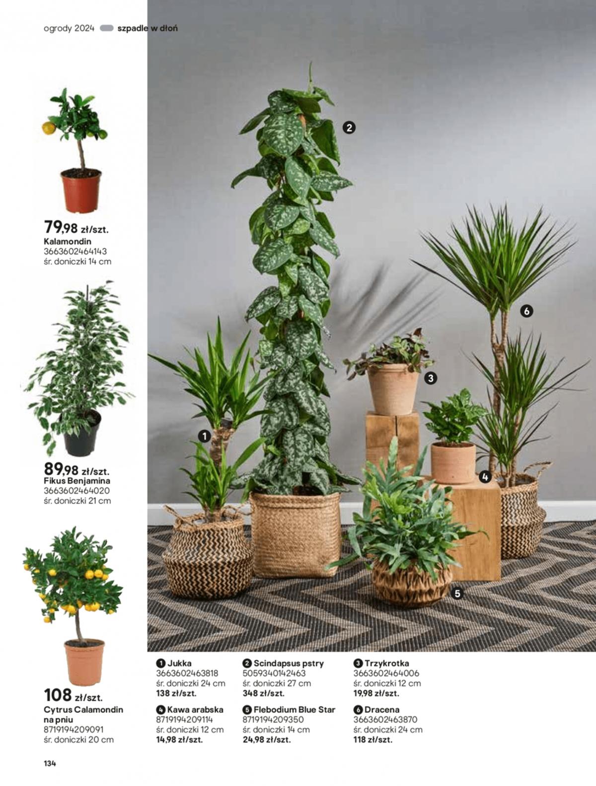 Gazetka promocyjna Castorama str. 134