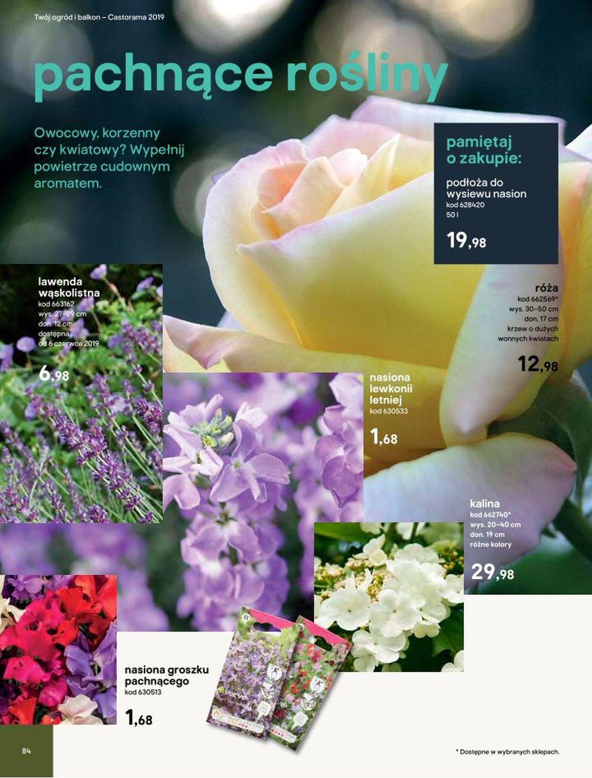 Gazetka promocyjna Castorama str. 77