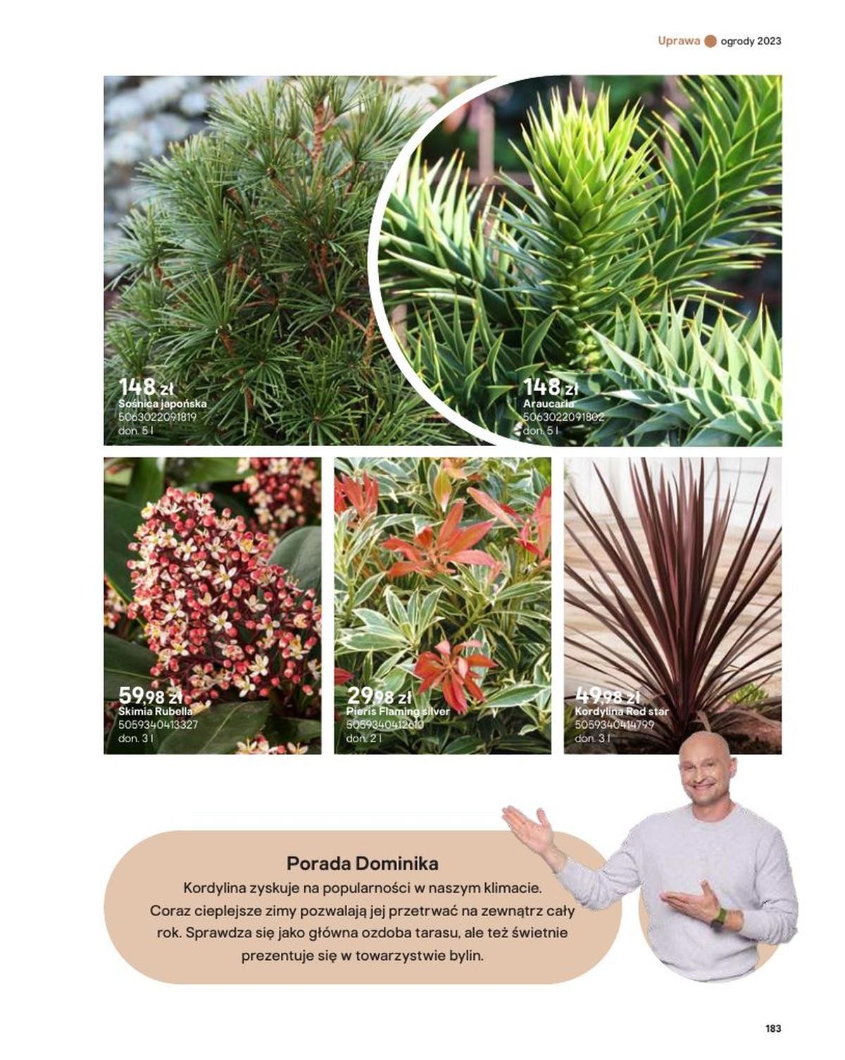 Gazetka promocyjna Castorama str. 183