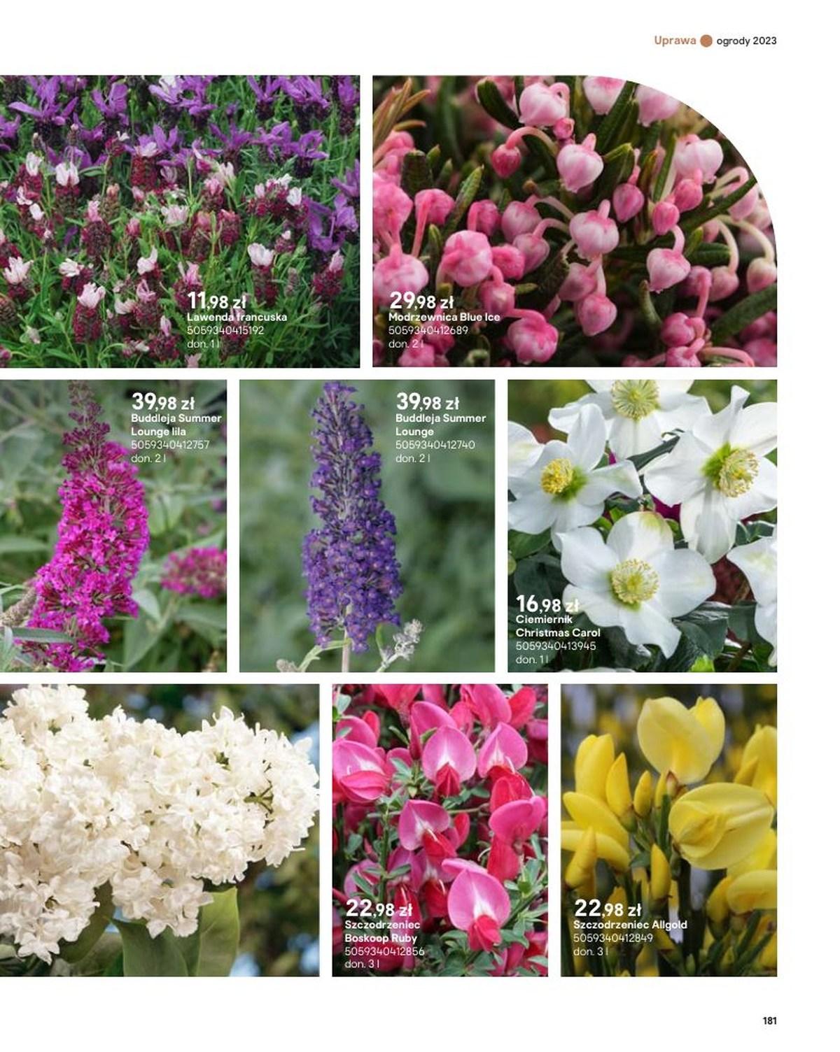 Gazetka promocyjna Castorama str. 181