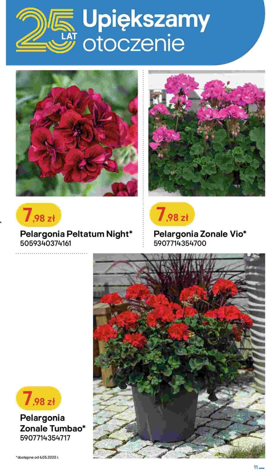 Gazetka promocyjna Castorama str. 11