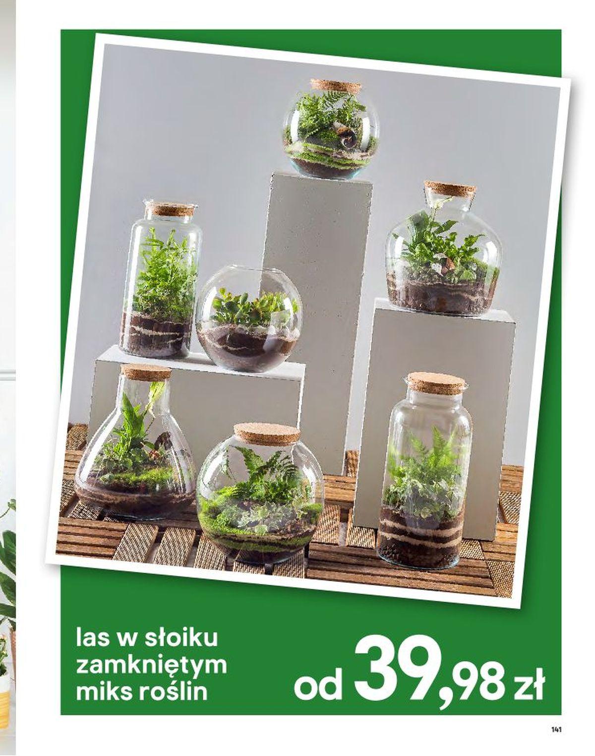 Gazetka promocyjna Castorama str. 141