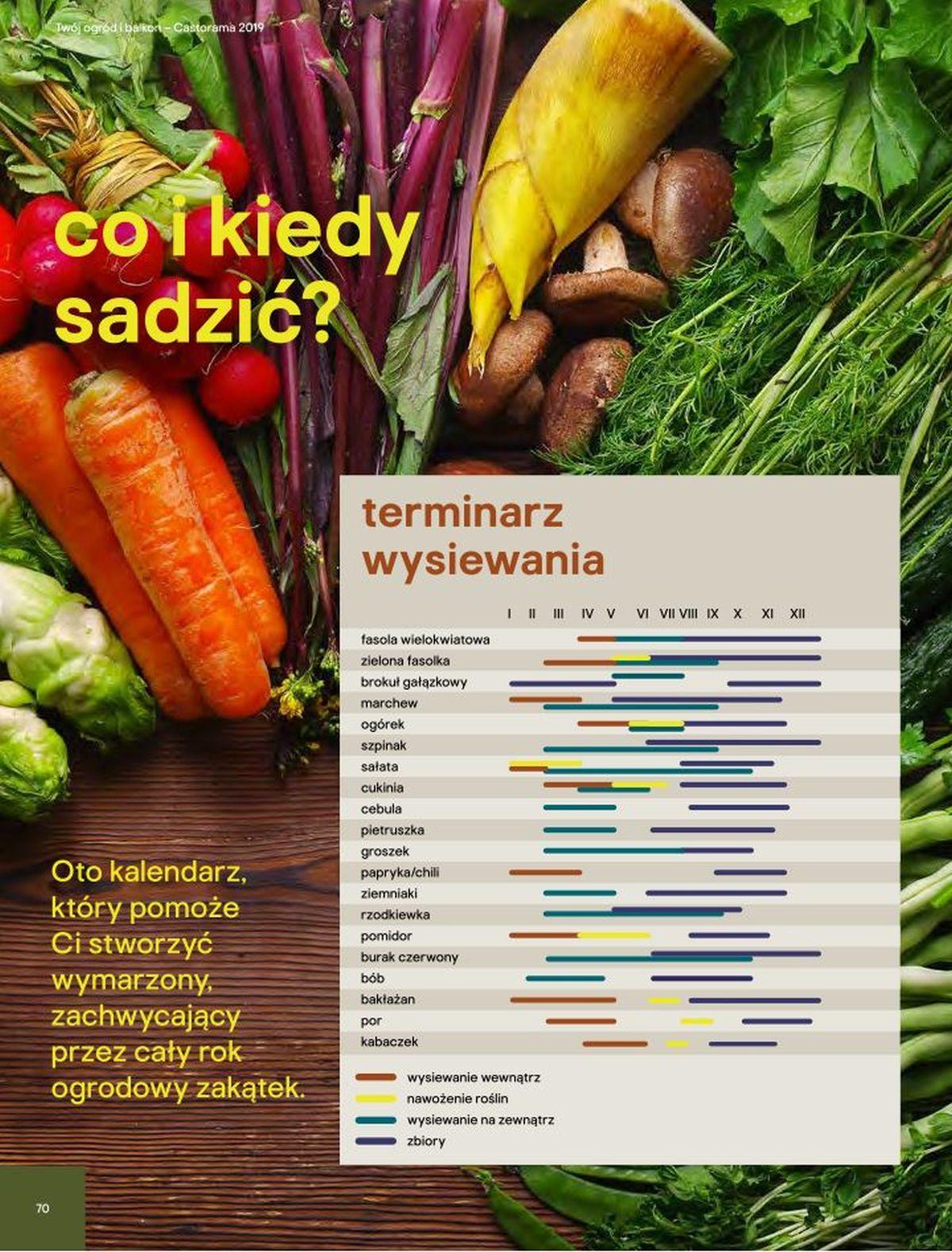 Gazetka promocyjna Castorama str. 63