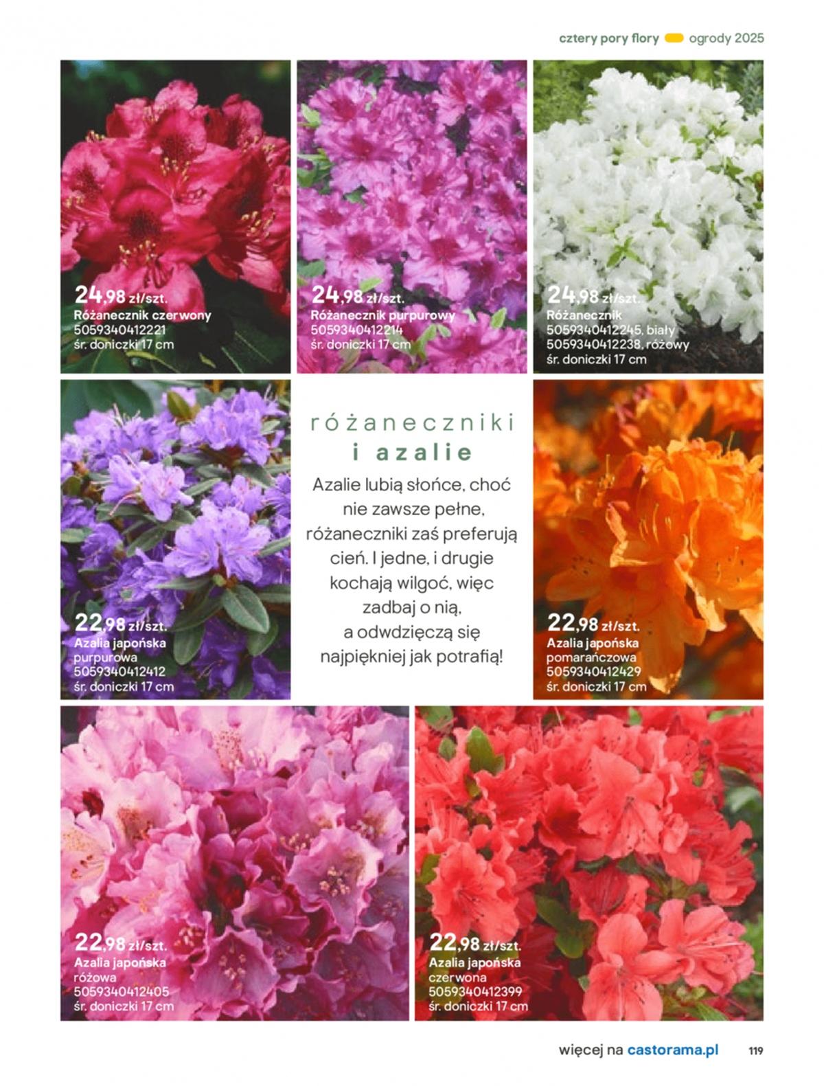 Gazetka promocyjna Castorama str. 119