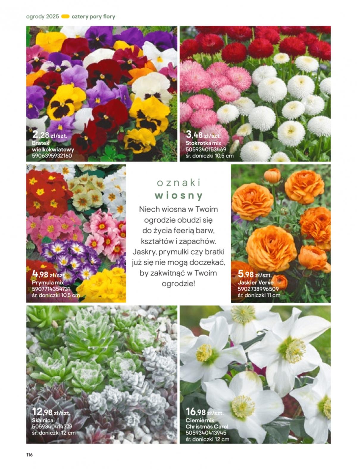 Gazetka promocyjna Castorama str. 116