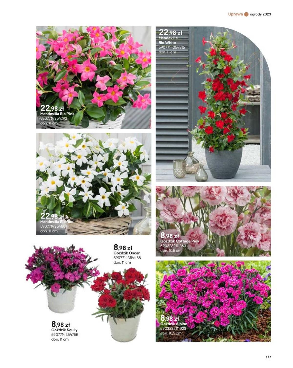 Gazetka promocyjna Castorama str. 177