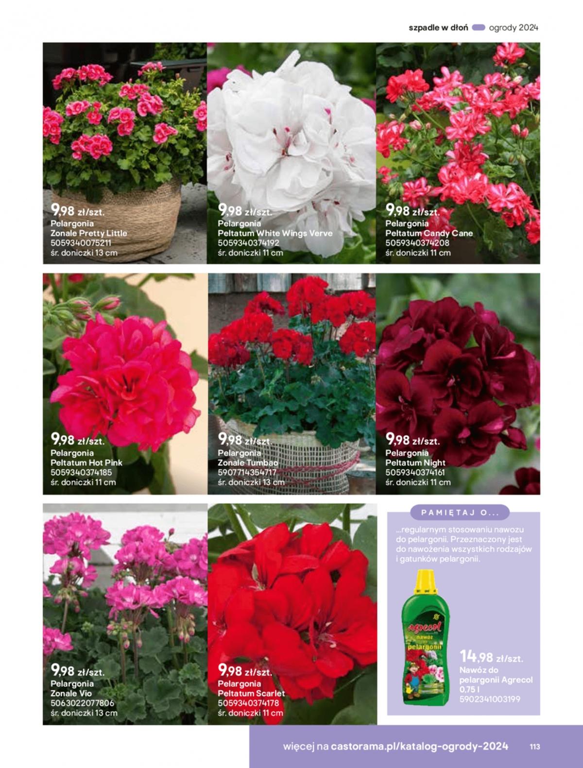 Gazetka promocyjna Castorama str. 113
