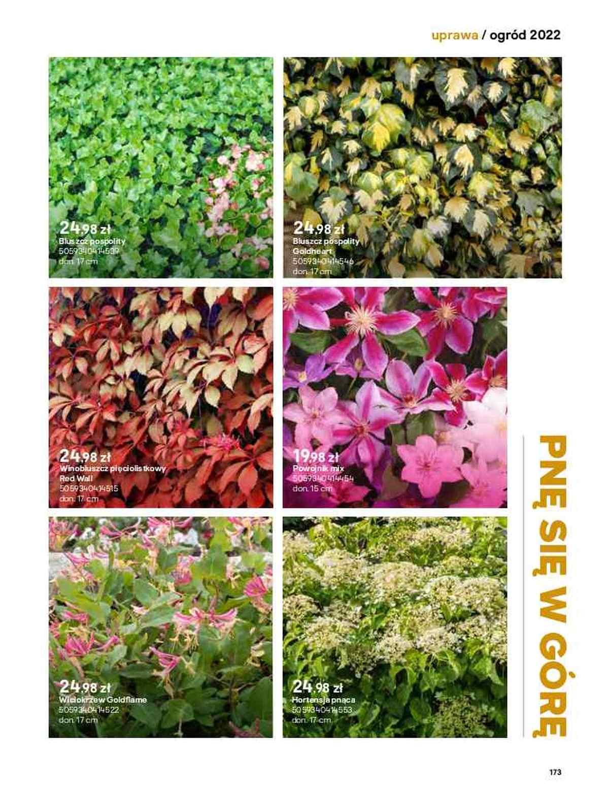 Gazetka promocyjna Castorama str. 173