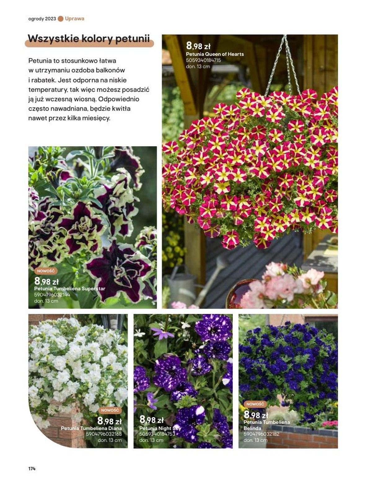 Gazetka promocyjna Castorama str. 174