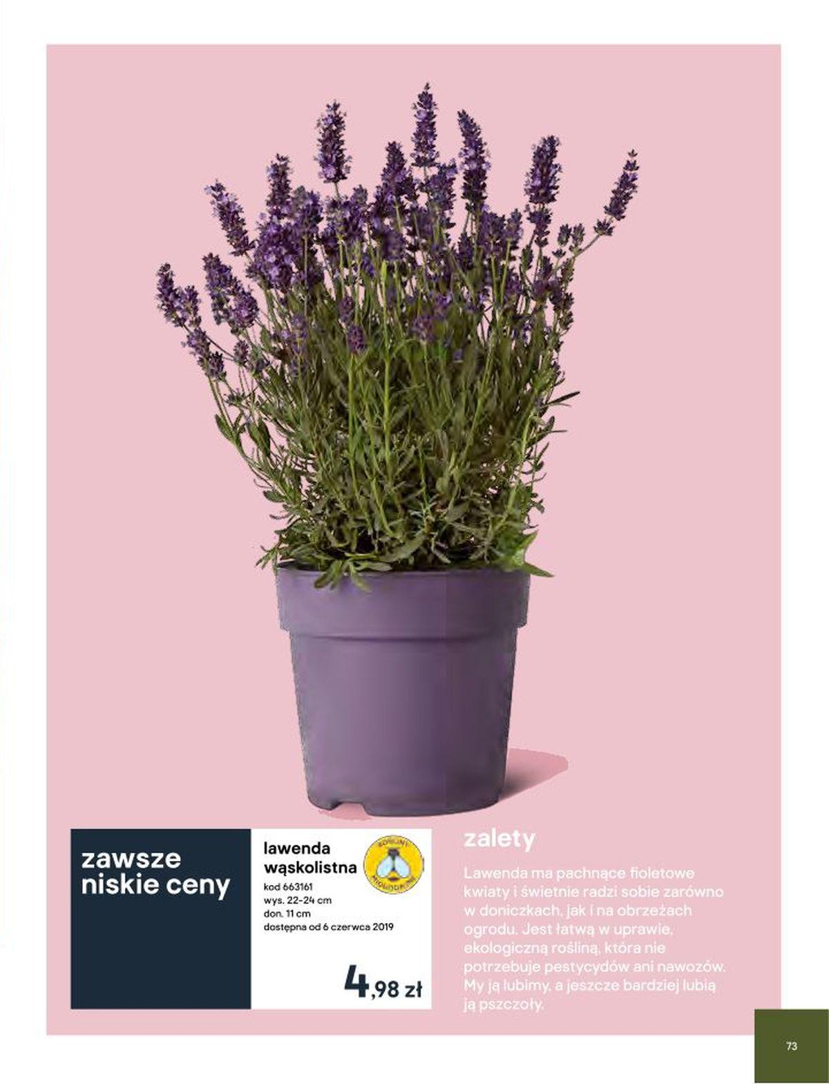 Gazetka promocyjna Castorama str. 66