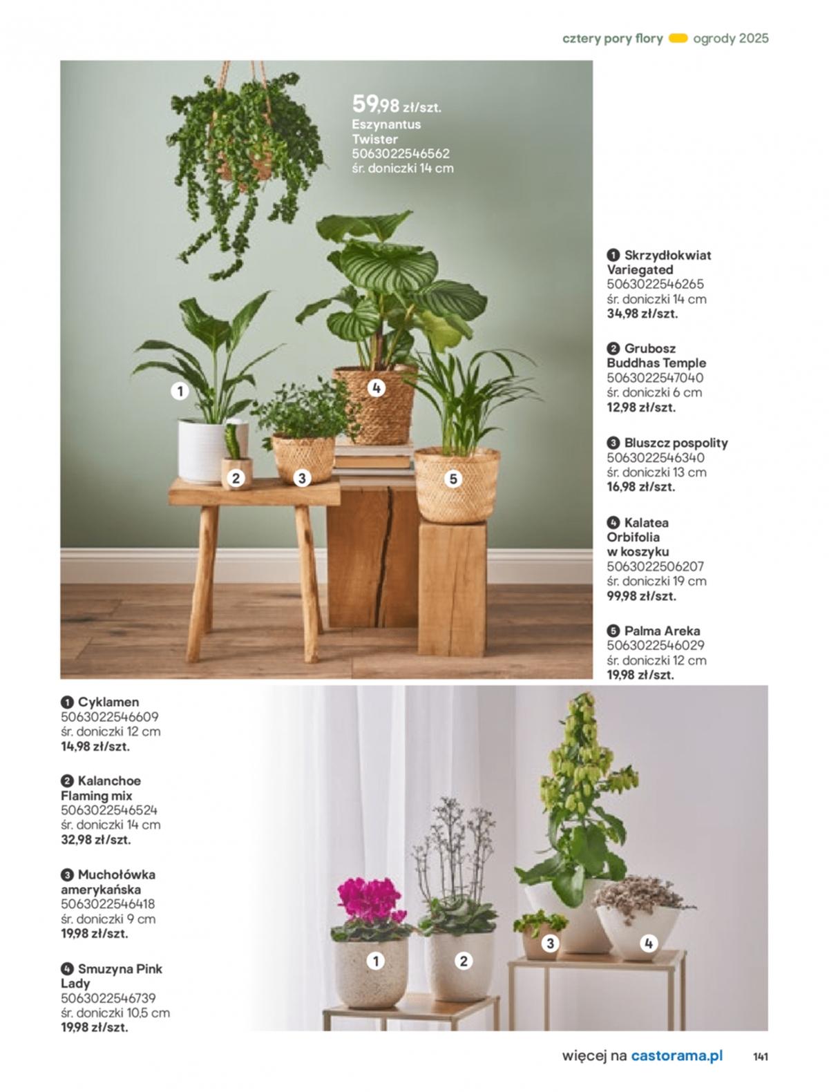 Gazetka promocyjna Castorama str. 141