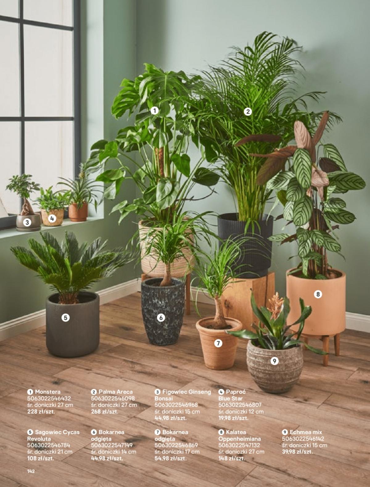 Gazetka promocyjna Castorama str. 142