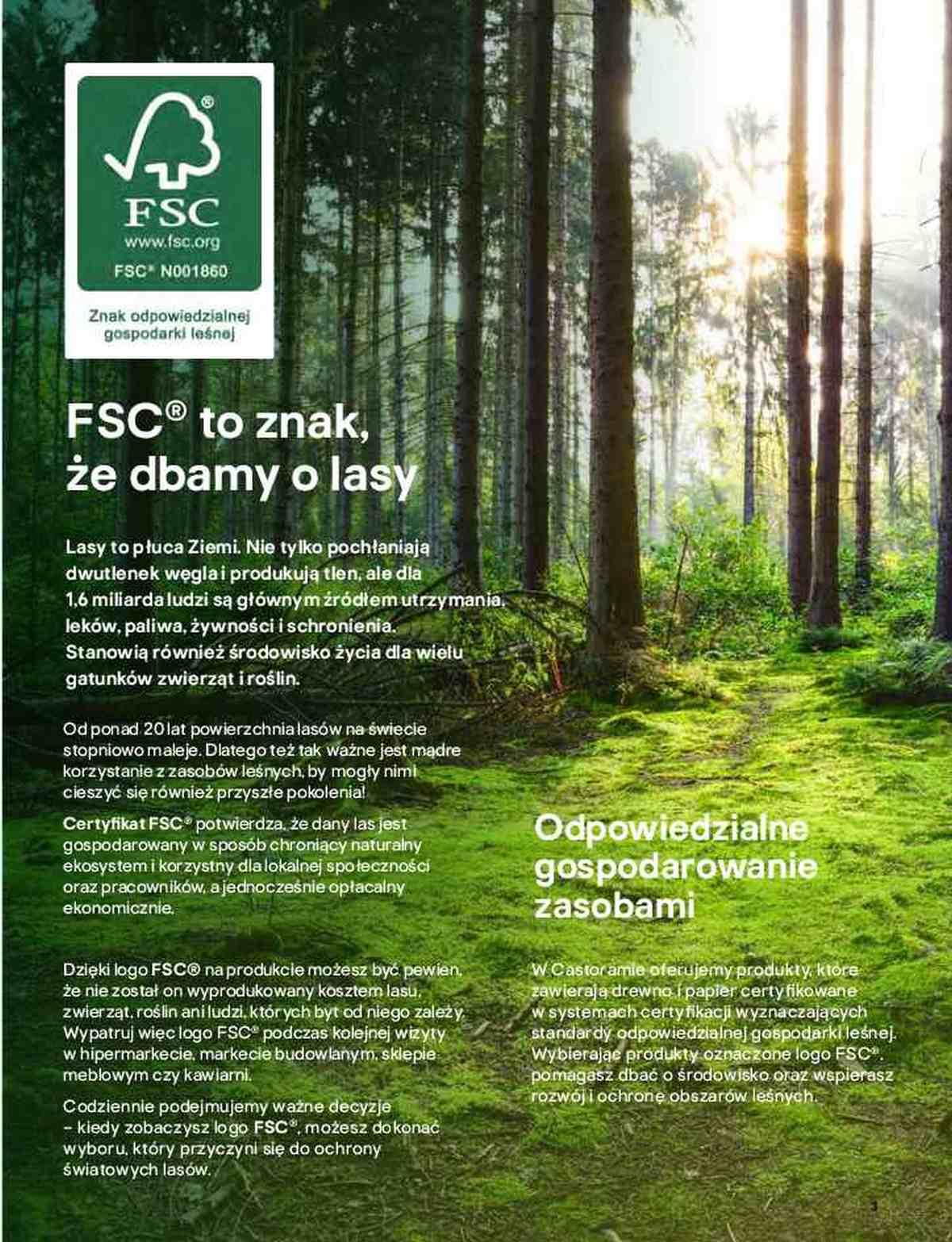 Gazetka promocyjna Castorama str. 3