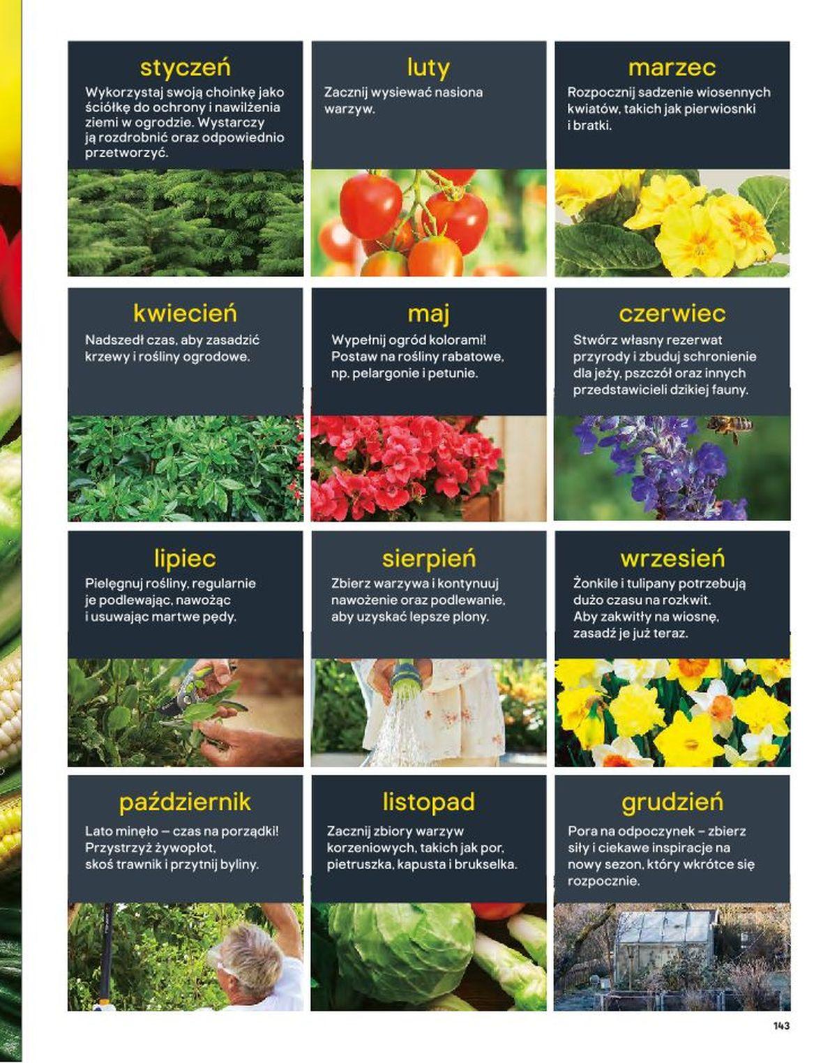 Gazetka promocyjna Castorama str. 143