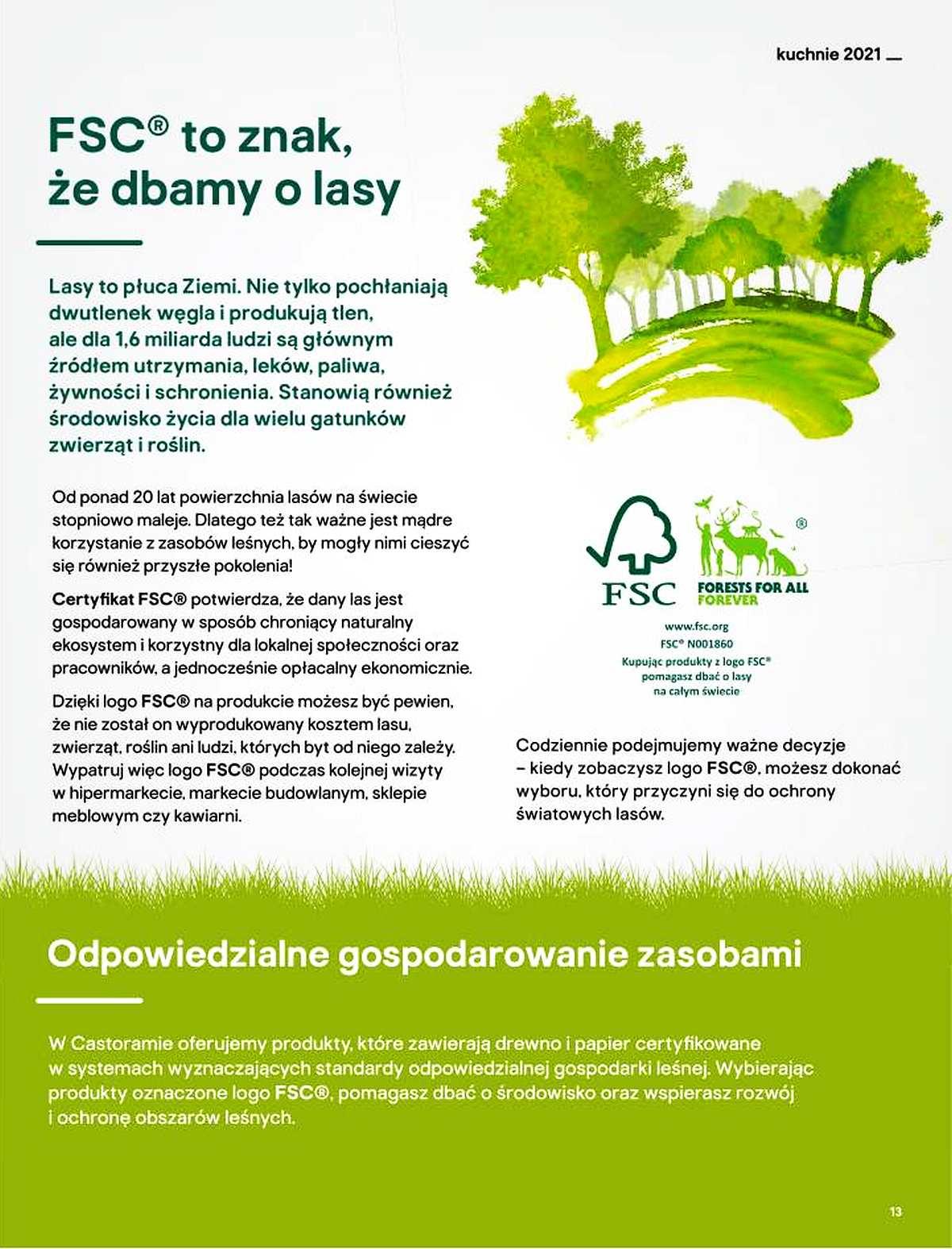 Gazetka promocyjna Castorama str. 13