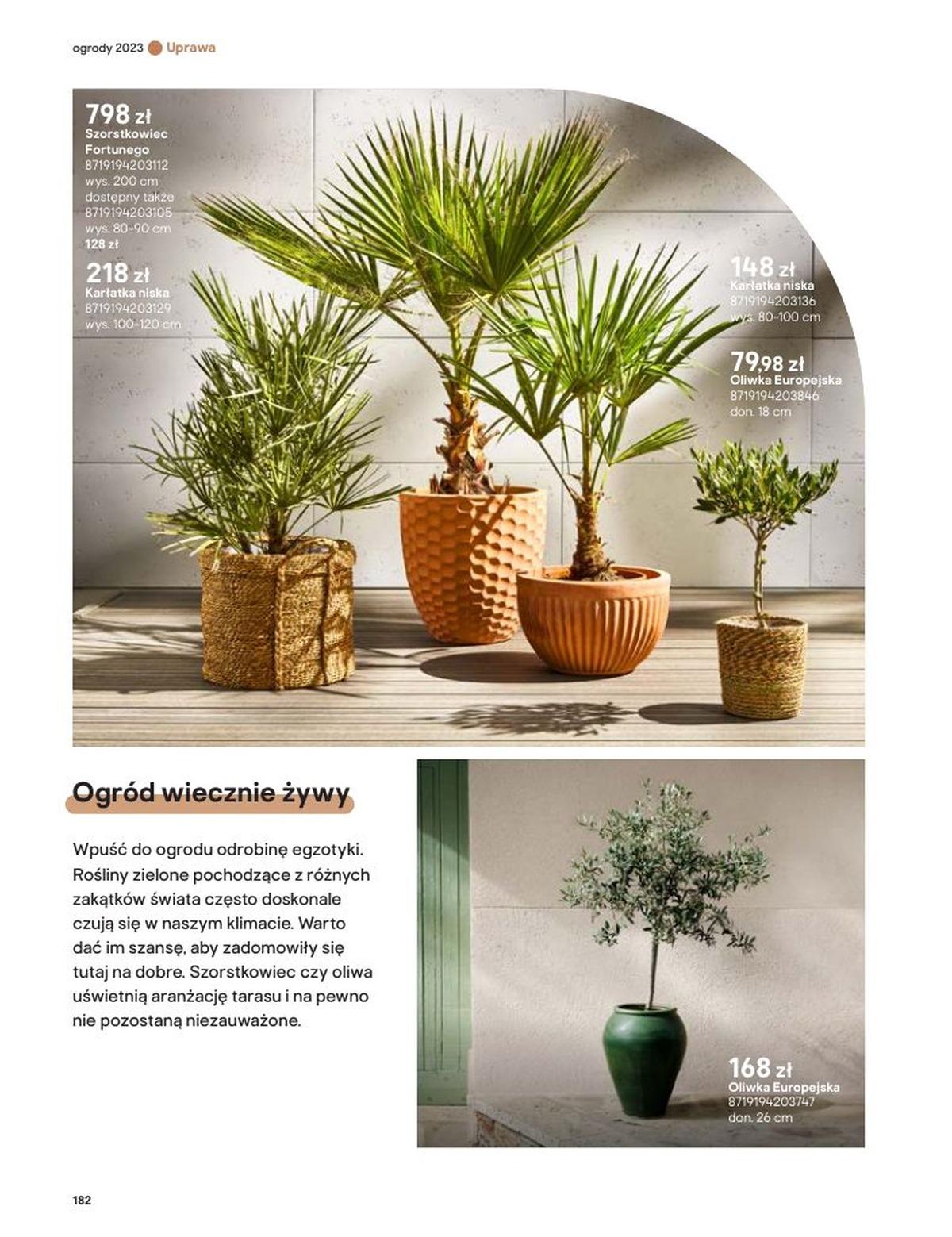 Gazetka promocyjna Castorama str. 182