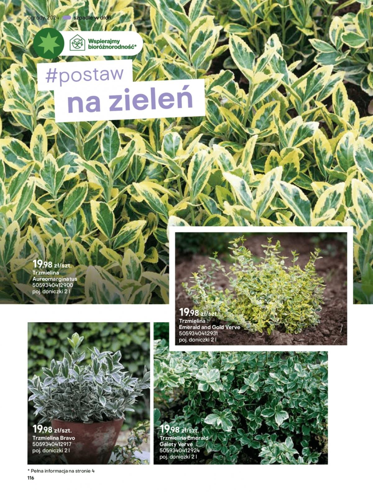 Gazetka promocyjna Castorama str. 116