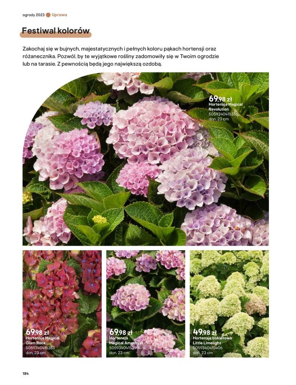 Gazetka promocyjna Castorama str. 184