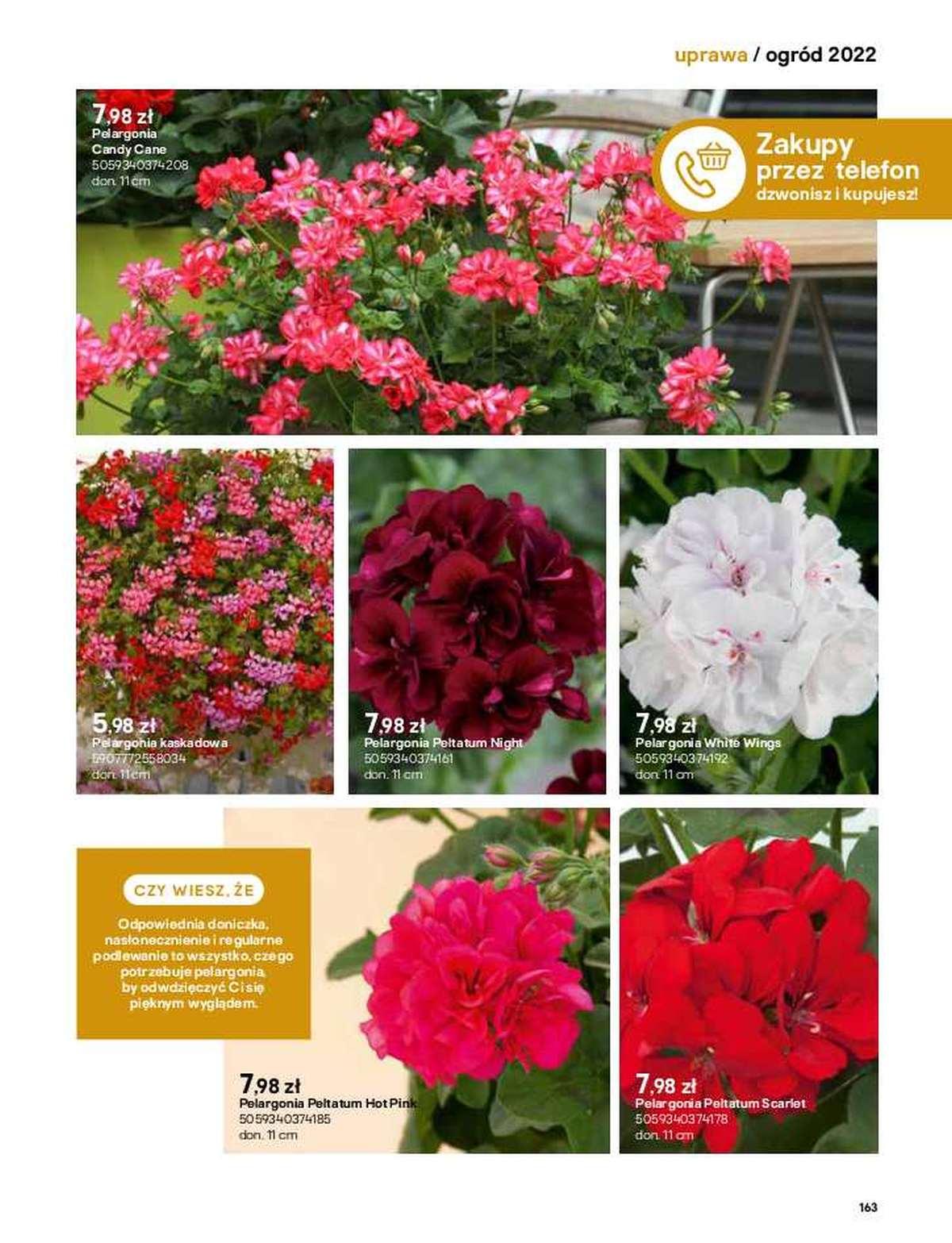 Gazetka promocyjna Castorama str. 163