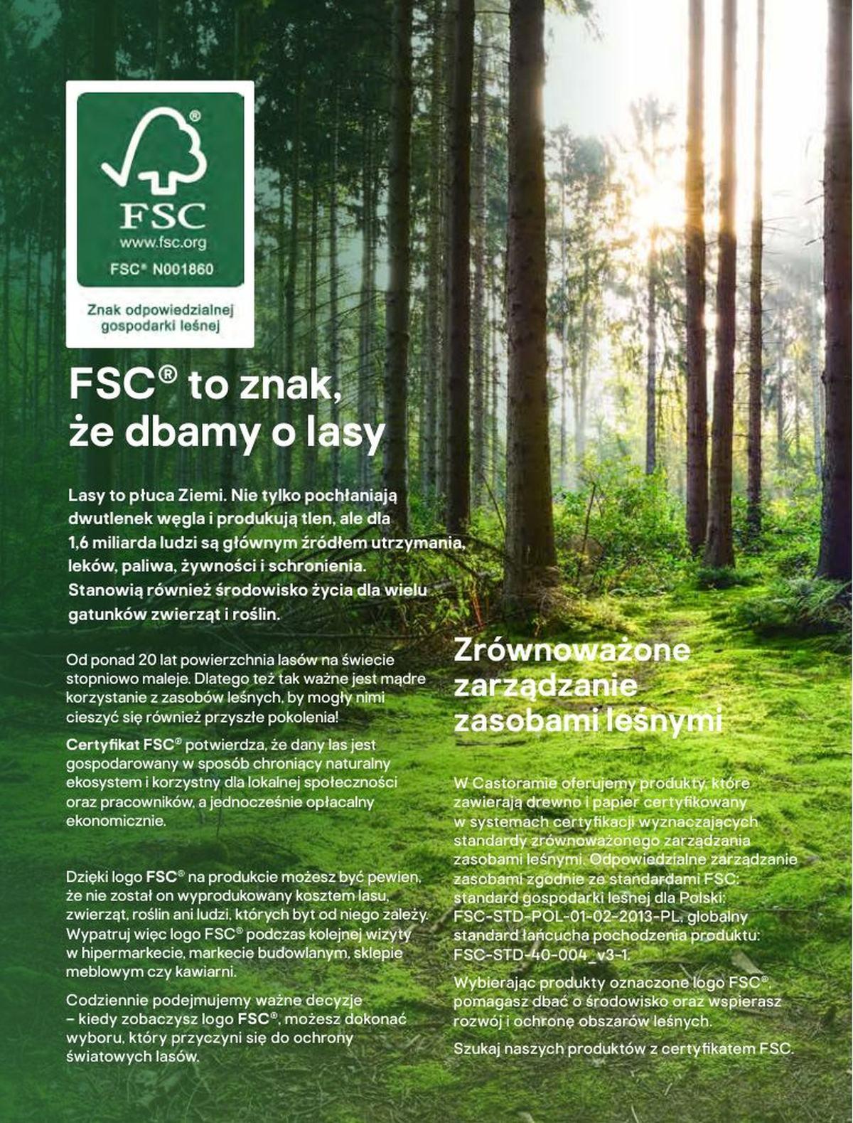 Gazetka promocyjna Castorama str. 2