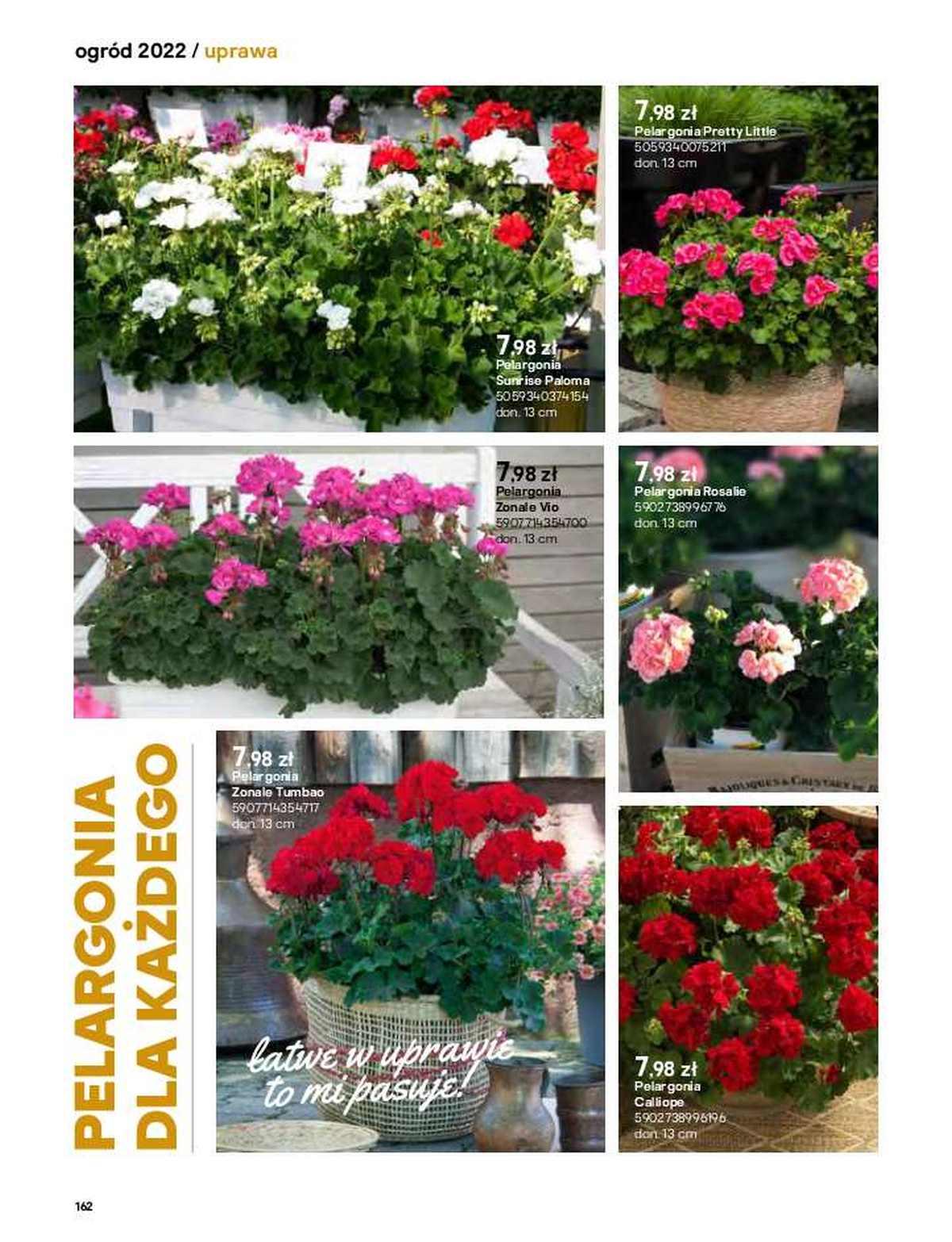 Gazetka promocyjna Castorama str. 160