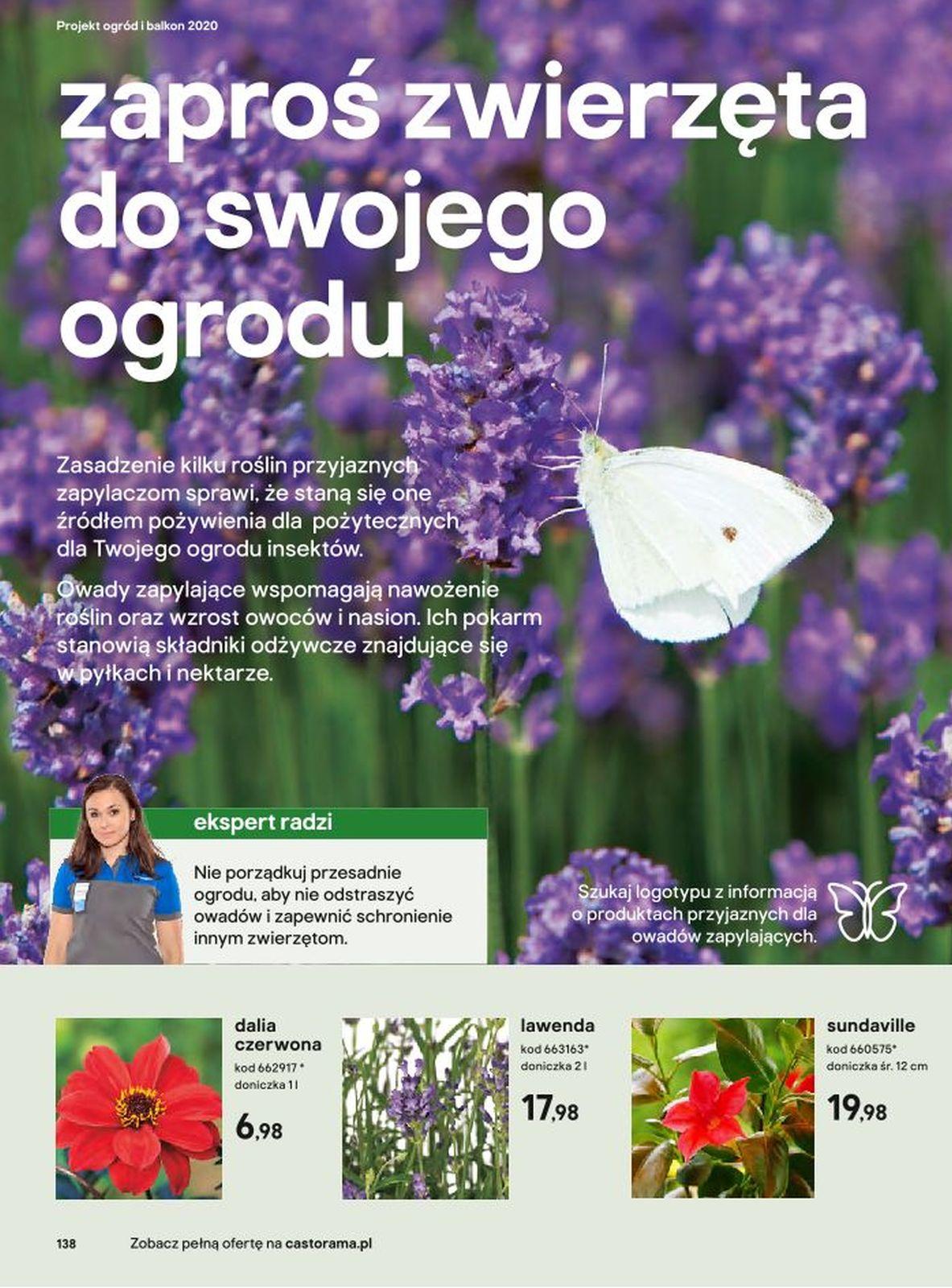 Gazetka promocyjna Castorama str. 138
