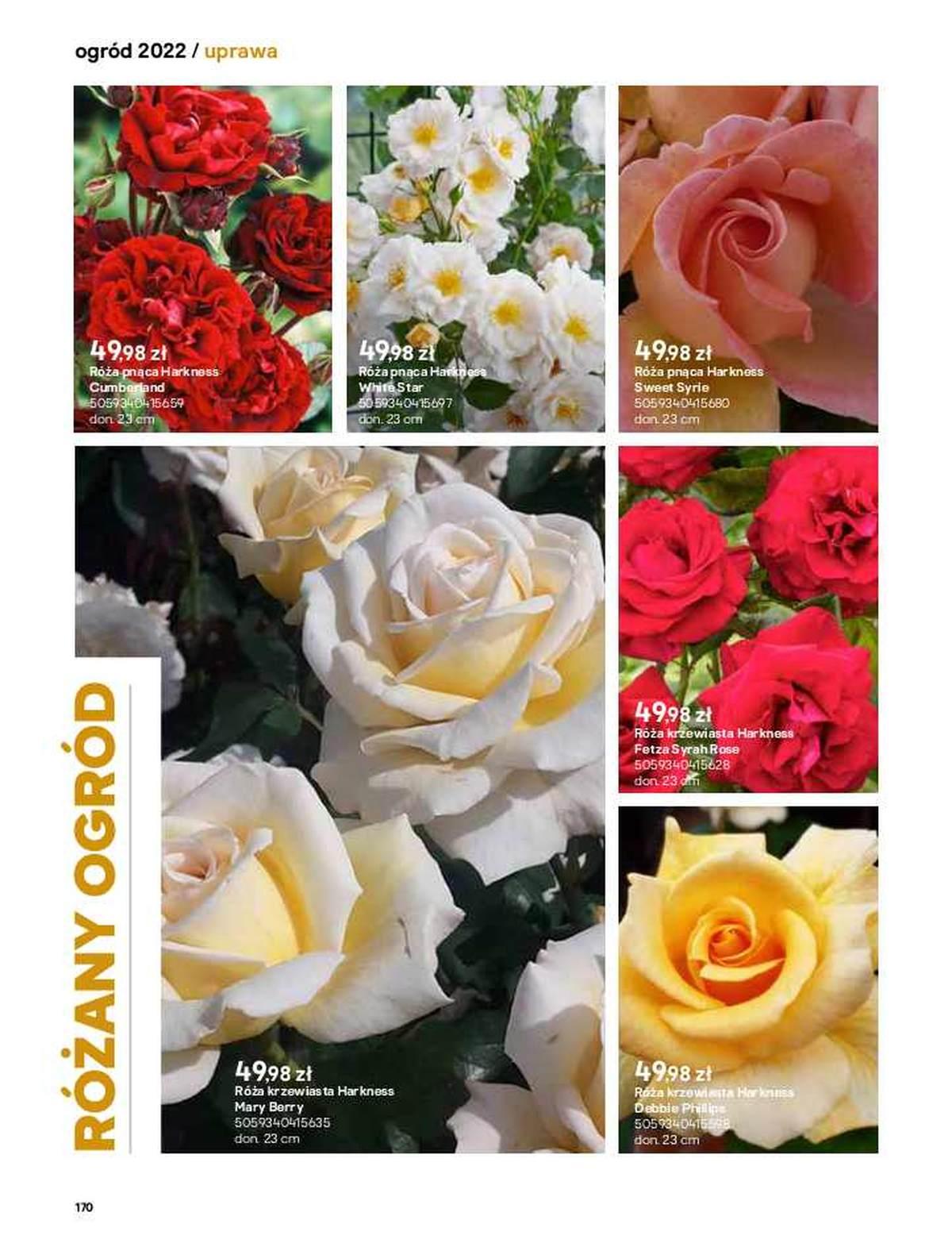 Gazetka promocyjna Castorama str. 168