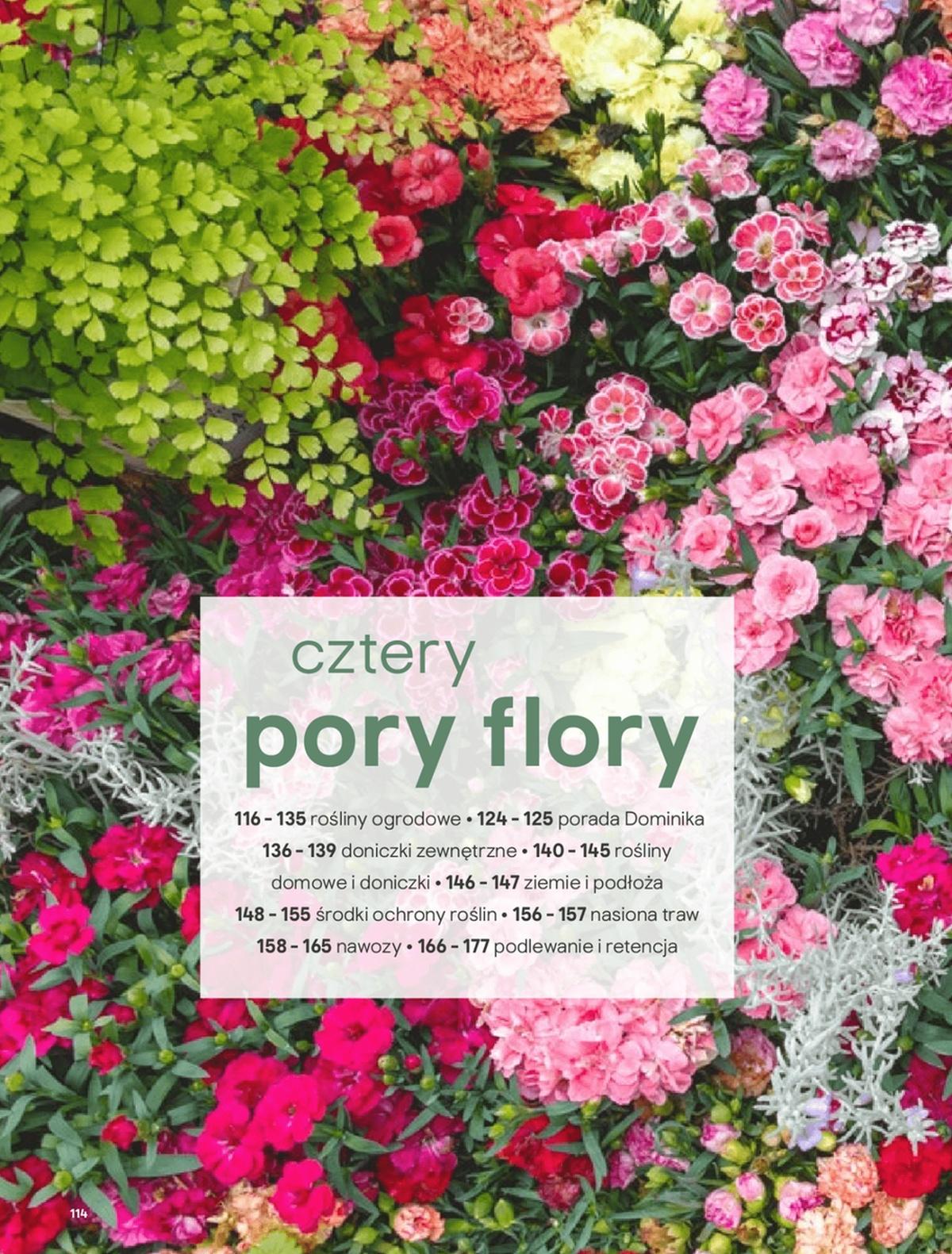 Gazetka promocyjna Castorama str. 114